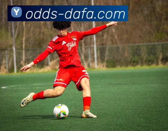 大发官网品牌故事